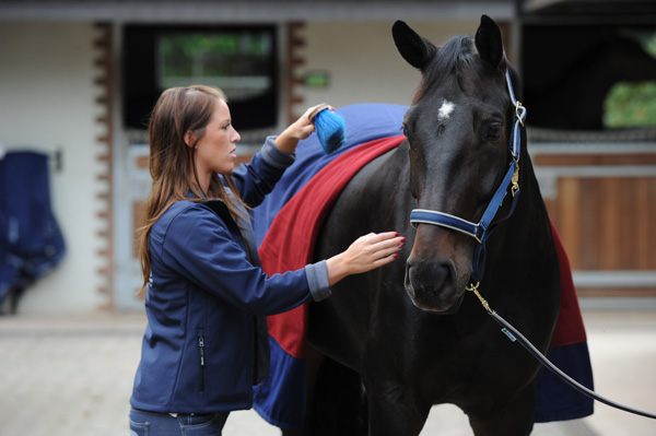 Paardendekens wassen